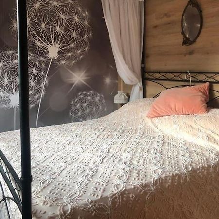 Holiday Guesthouse La Casina Di Butzi Pet Friendly - Terme Di Arta - Zoncolan 阿尔塔泰尔梅 外观 照片