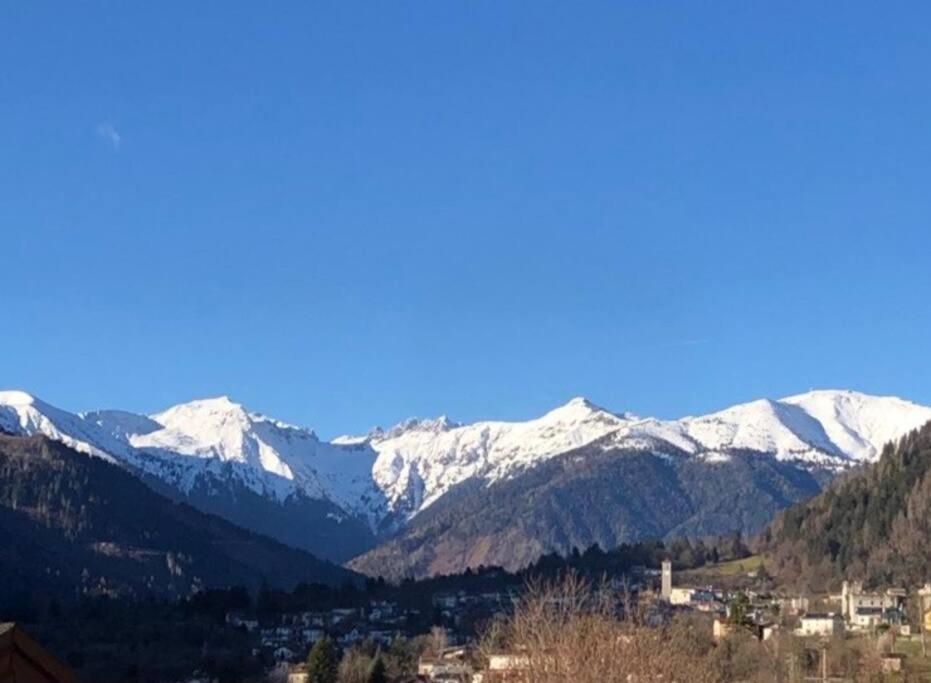 Holiday Guesthouse La Casina Di Butzi Pet Friendly - Terme Di Arta - Zoncolan 阿尔塔泰尔梅 外观 照片