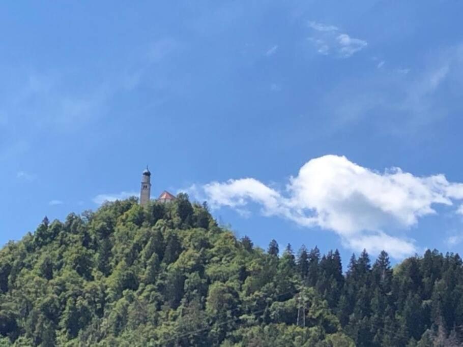 Holiday Guesthouse La Casina Di Butzi Pet Friendly - Terme Di Arta - Zoncolan 阿尔塔泰尔梅 外观 照片
