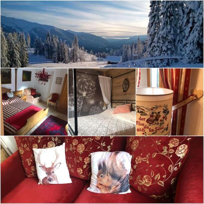 Holiday Guesthouse La Casina Di Butzi Pet Friendly - Terme Di Arta - Zoncolan 阿尔塔泰尔梅 外观 照片