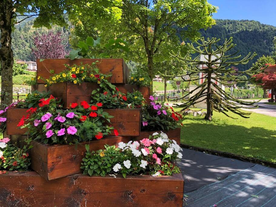 Holiday Guesthouse La Casina Di Butzi Pet Friendly - Terme Di Arta - Zoncolan 阿尔塔泰尔梅 外观 照片
