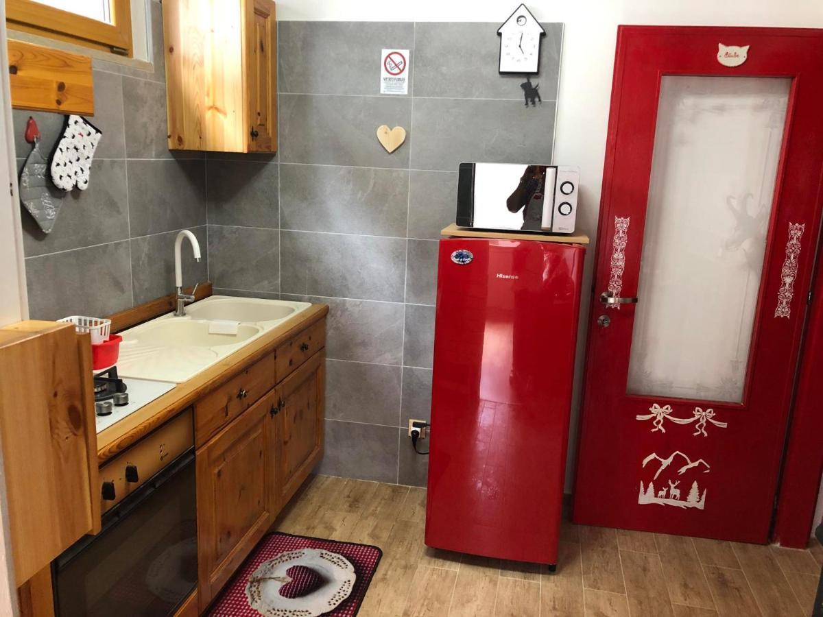Holiday Guesthouse La Casina Di Butzi Pet Friendly - Terme Di Arta - Zoncolan 阿尔塔泰尔梅 外观 照片