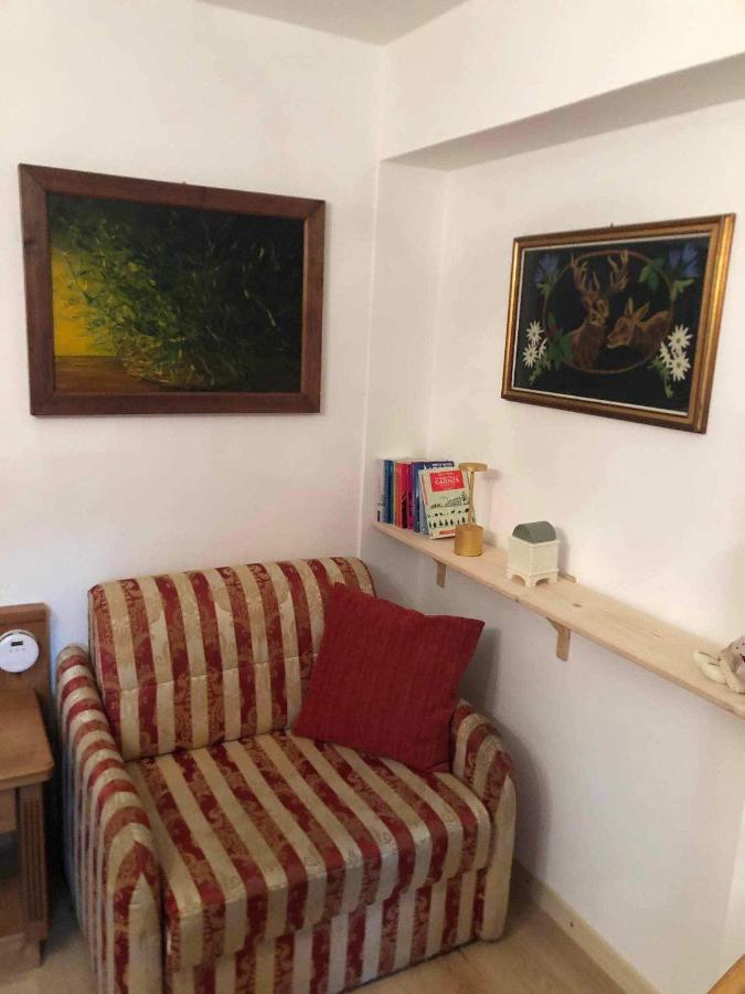 Holiday Guesthouse La Casina Di Butzi Pet Friendly - Terme Di Arta - Zoncolan 阿尔塔泰尔梅 外观 照片
