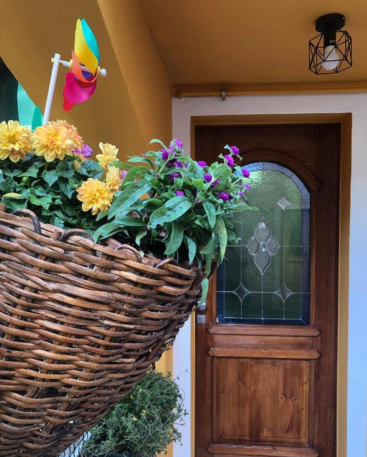 Holiday Guesthouse La Casina Di Butzi Pet Friendly - Terme Di Arta - Zoncolan 阿尔塔泰尔梅 外观 照片