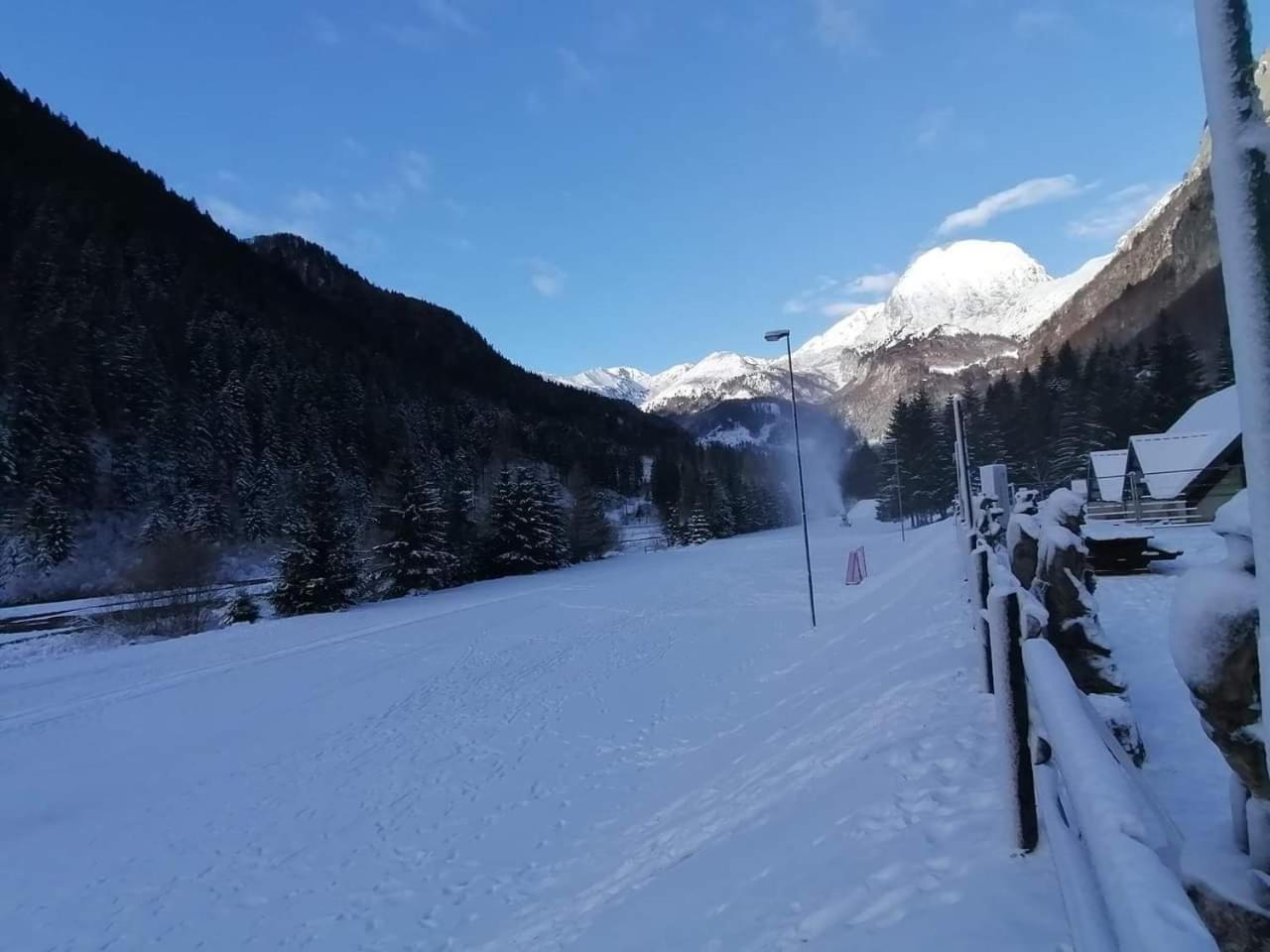 Holiday Guesthouse La Casina Di Butzi Pet Friendly - Terme Di Arta - Zoncolan 阿尔塔泰尔梅 外观 照片