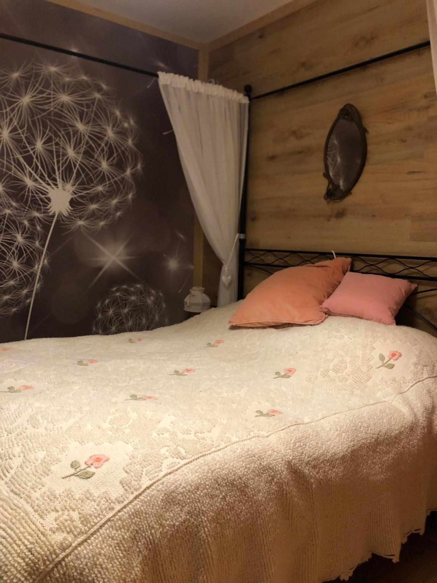 Holiday Guesthouse La Casina Di Butzi Pet Friendly - Terme Di Arta - Zoncolan 阿尔塔泰尔梅 外观 照片