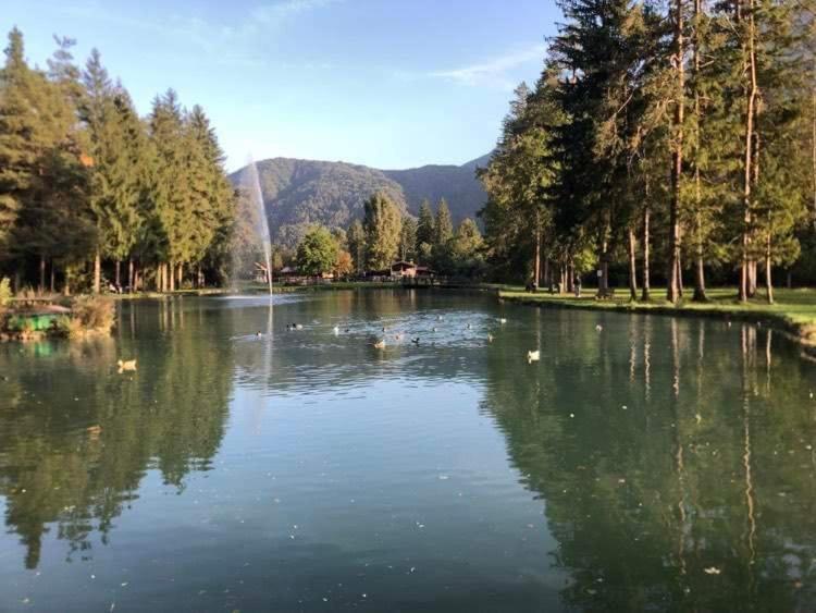 Holiday Guesthouse La Casina Di Butzi Pet Friendly - Terme Di Arta - Zoncolan 阿尔塔泰尔梅 外观 照片